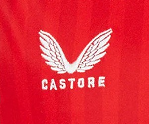 Ver guía de tallas castore