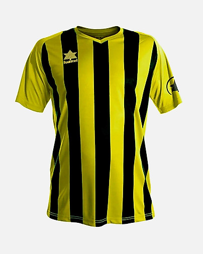 Camiseta Luanvi New Listada
