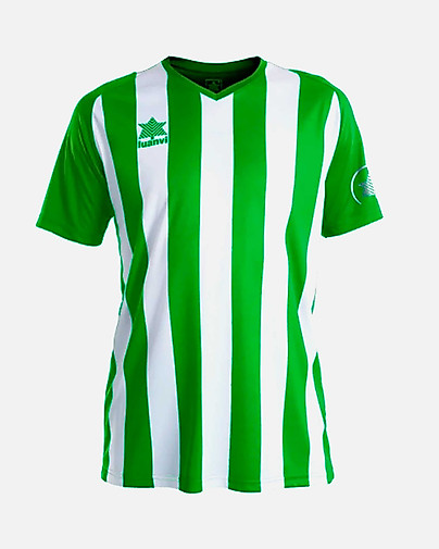 Camiseta Luanvi New Listada