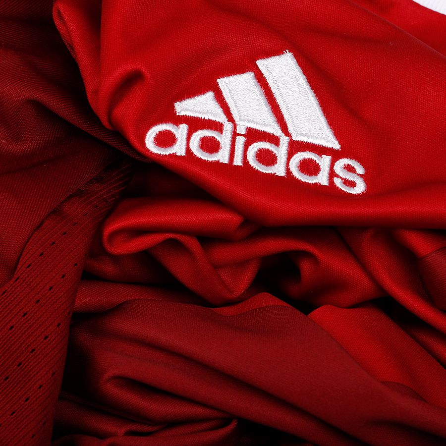 Camiseta 1ª Dinamarca Eurocopa 2016 Rojo - Fútbol Factory