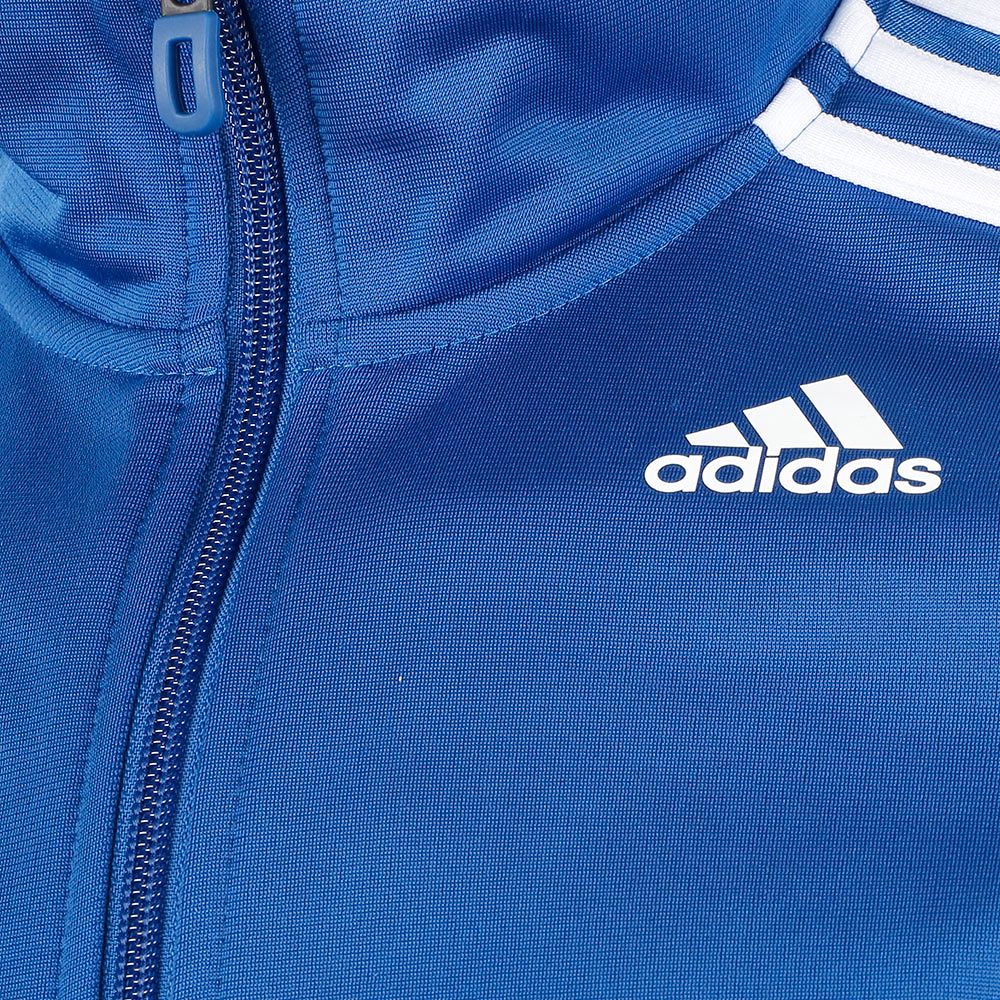 Chándal Teamsport Entry Azul  - Fútbol Factory