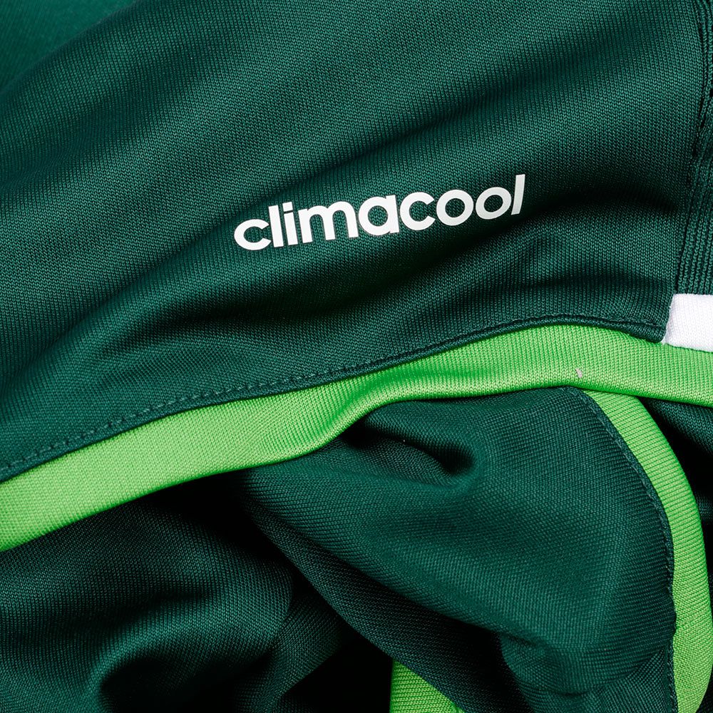 Pantalón 2ª Real Betis 2016/2017 Verde - Fútbol Factory