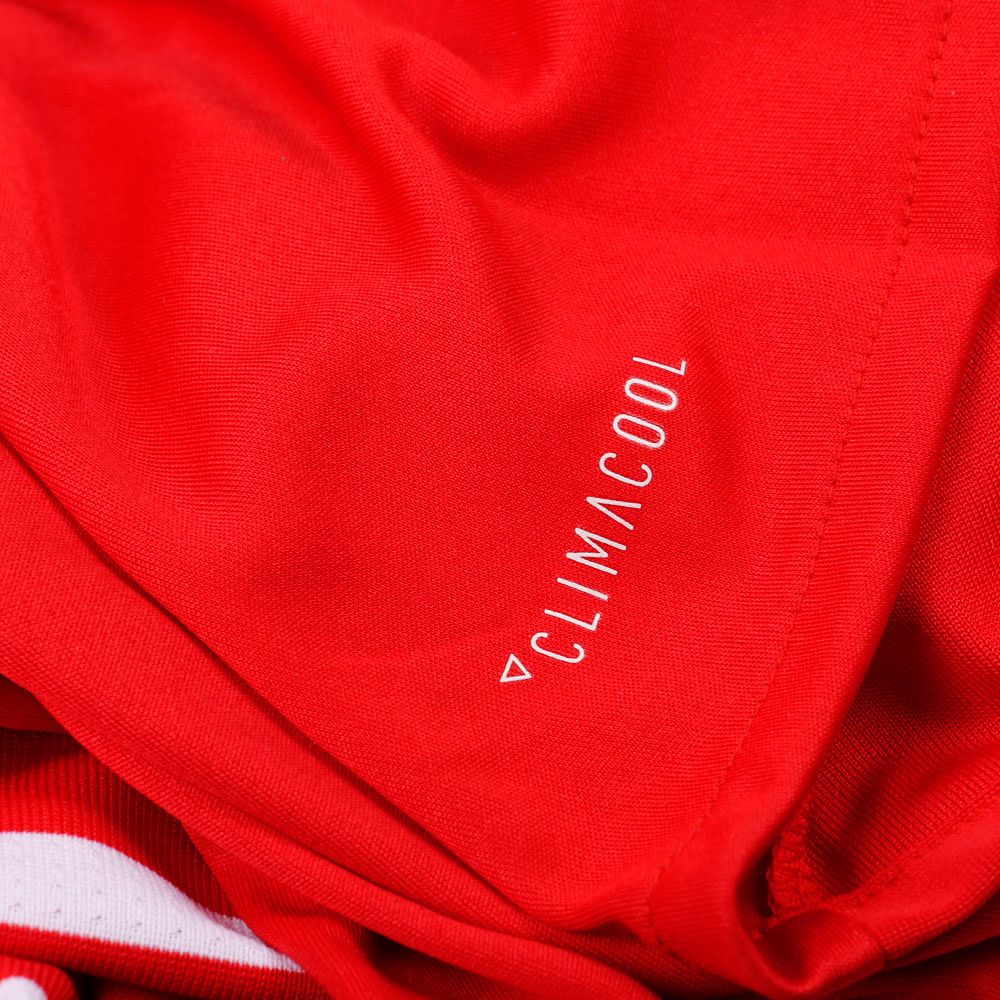 Camiseta 1ª Bayern Munich 2017/2018 Rojo - Fútbol Factory