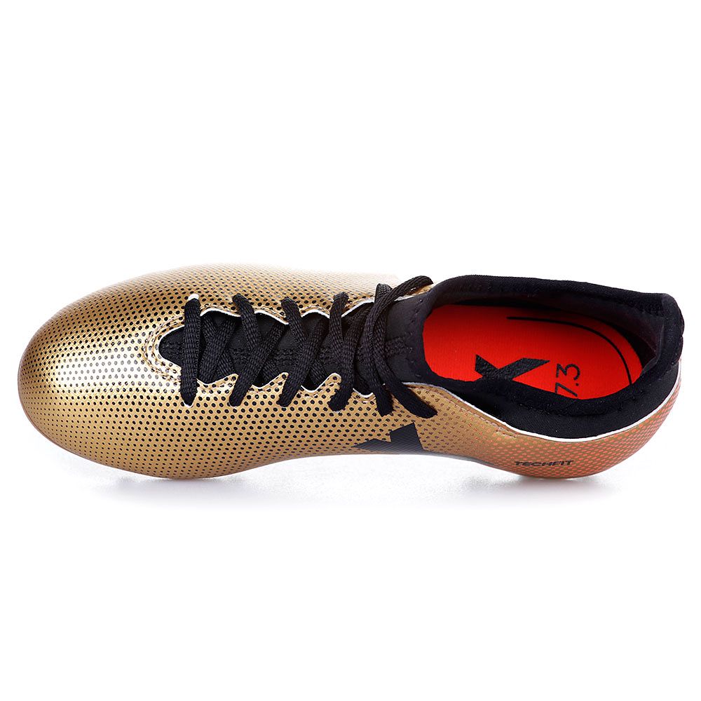 Botas de Futbol X 17.3 AG Junior Dorado