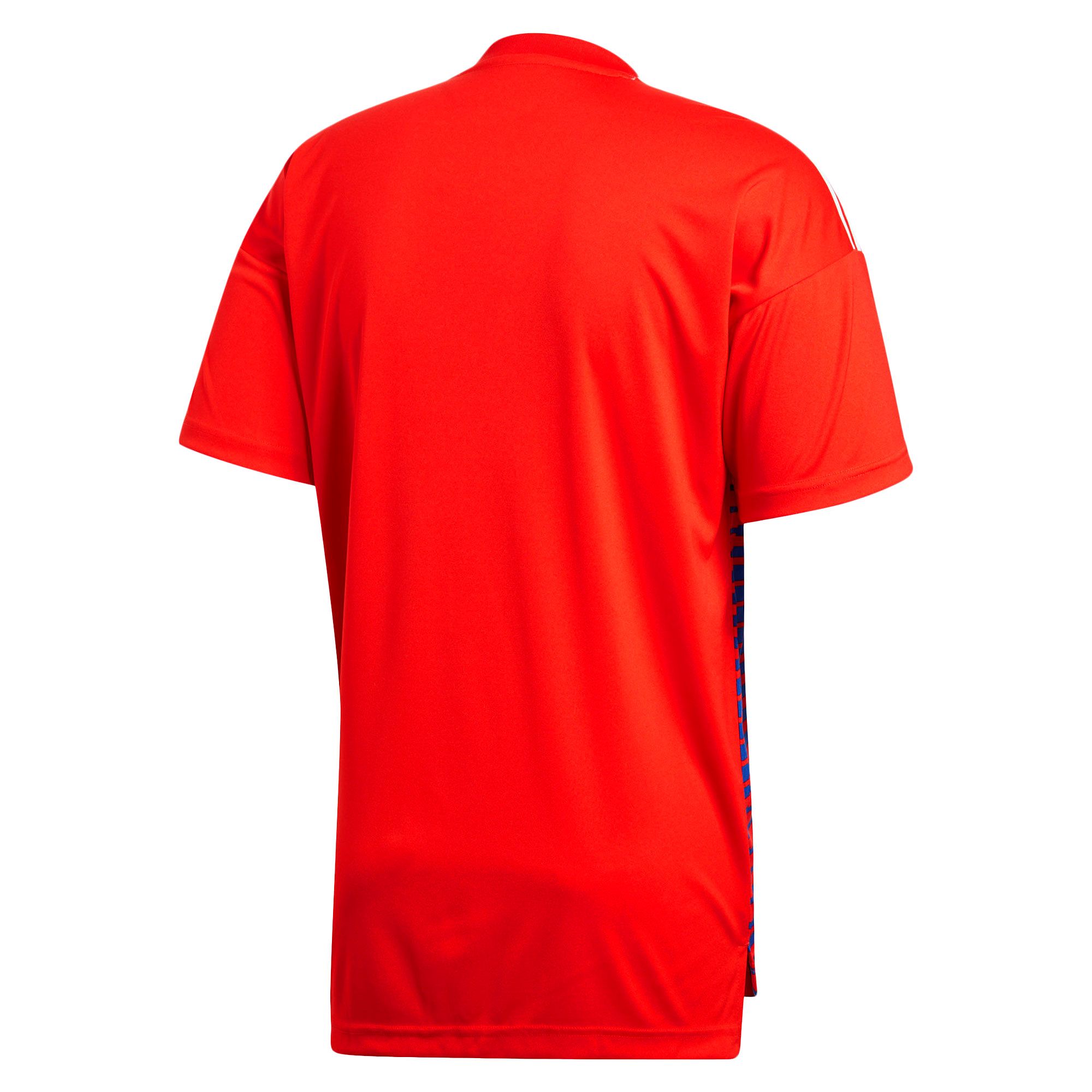 Camiseta de Pre-Match Rusia Mundial 2018 Rojo Azul - Fútbol Factory