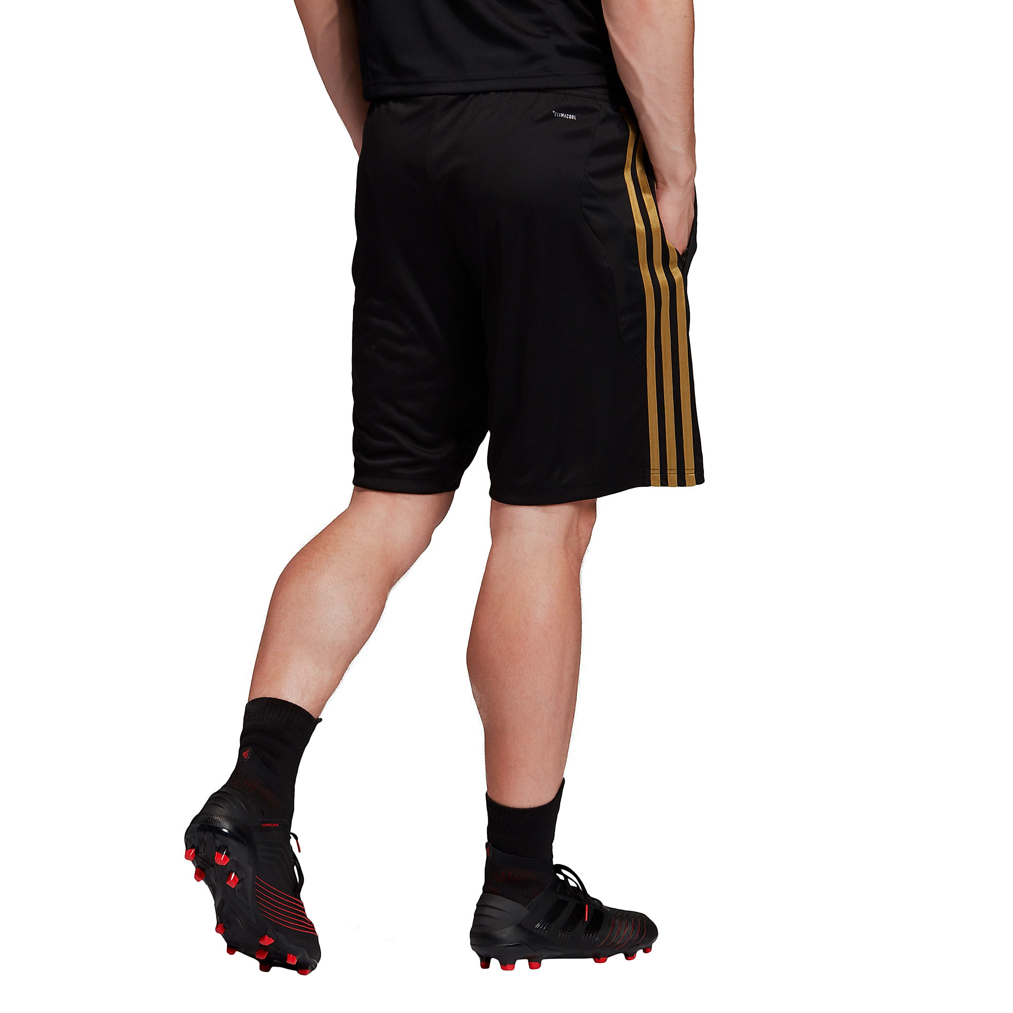 Pantalón Corto de Training Real Madrid 2019/2020 Negro Dorado - Fútbol Factory