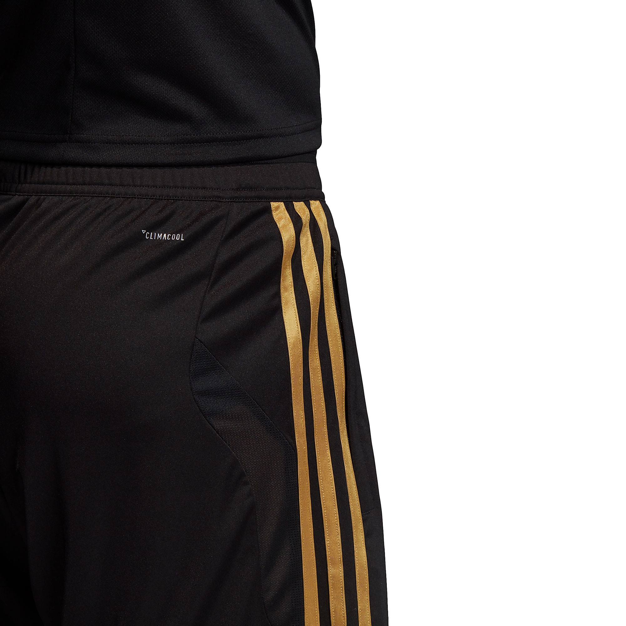 Pantalón Corto de Training Real Madrid 2019/2020 Negro Dorado - Fútbol Factory