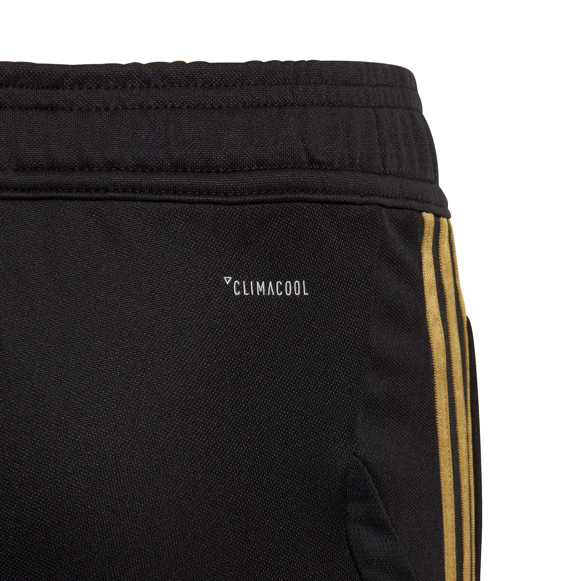 Pantalón Largo de Training Real Madrid 2019/2020 Junior Negro Dorado - Fútbol Factory
