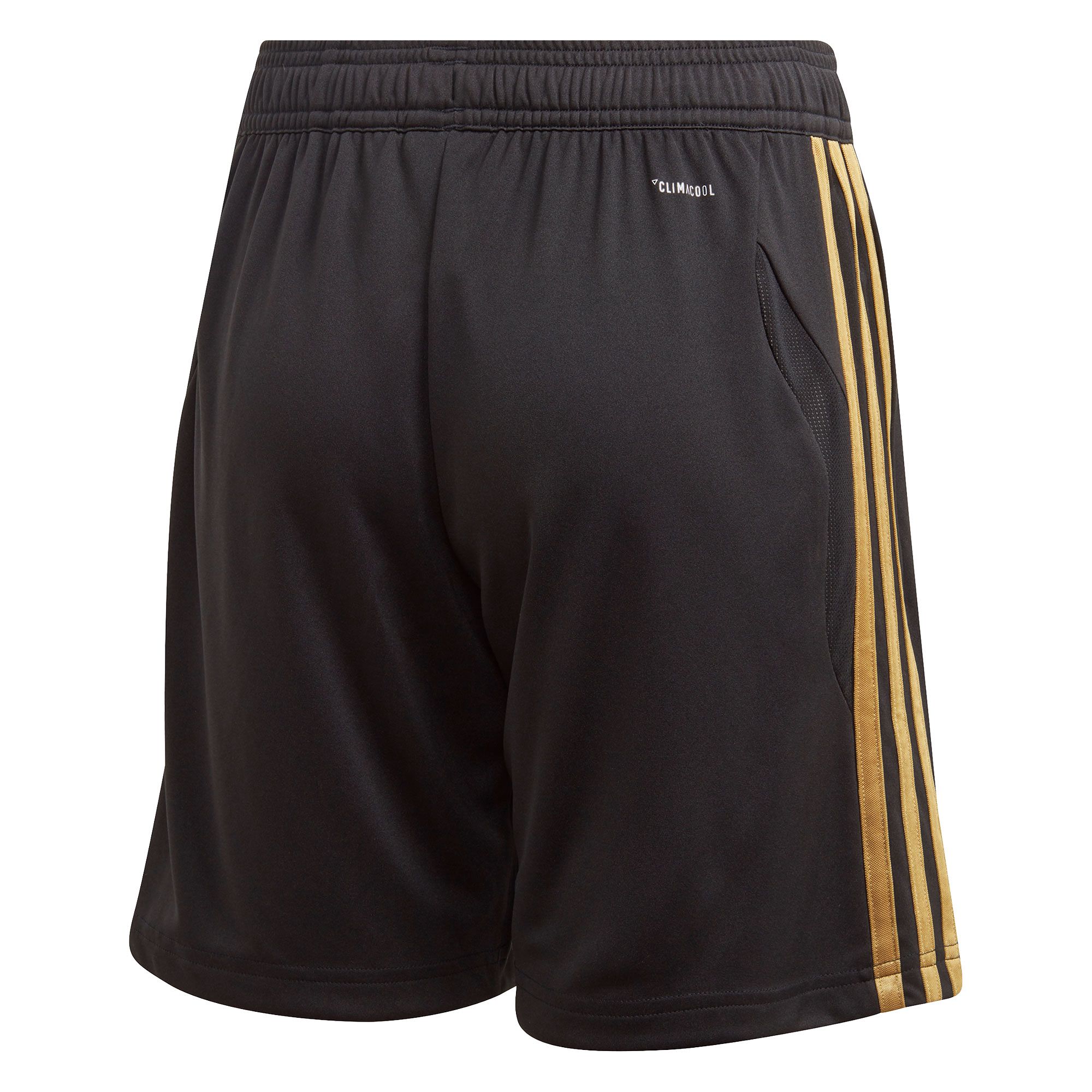 Pantalón Corto de Training Real Madrid 2019/2020 Junior Negro Dorado - Fútbol Factory