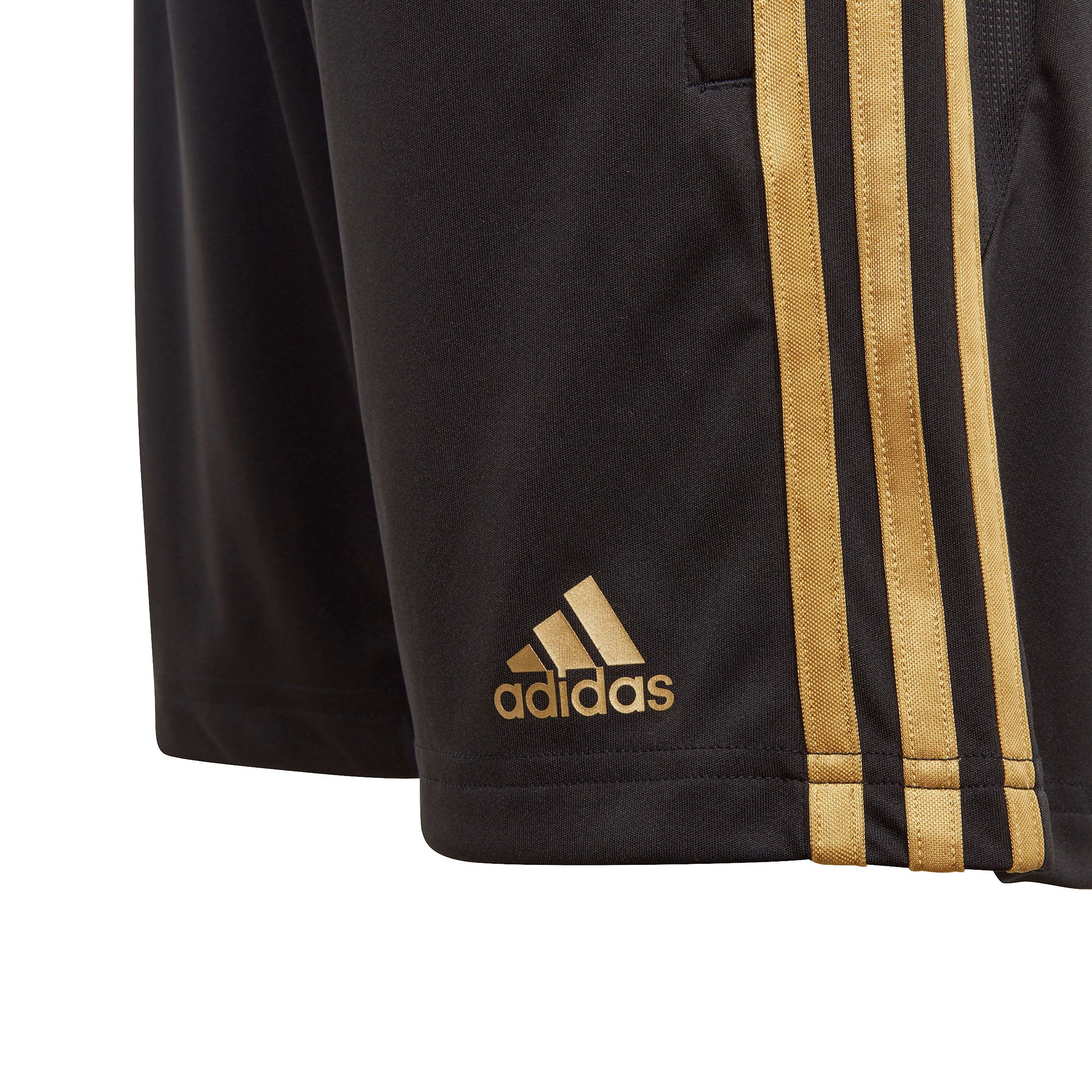 Pantalón Corto de Training Real Madrid 2019/2020 Junior Negro Dorado - Fútbol Factory