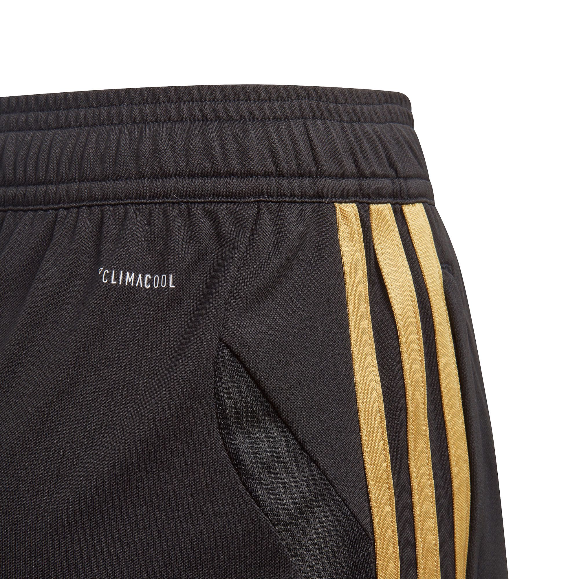 Pantalón Corto de Training Real Madrid 2019/2020 Junior Negro Dorado - Fútbol Factory