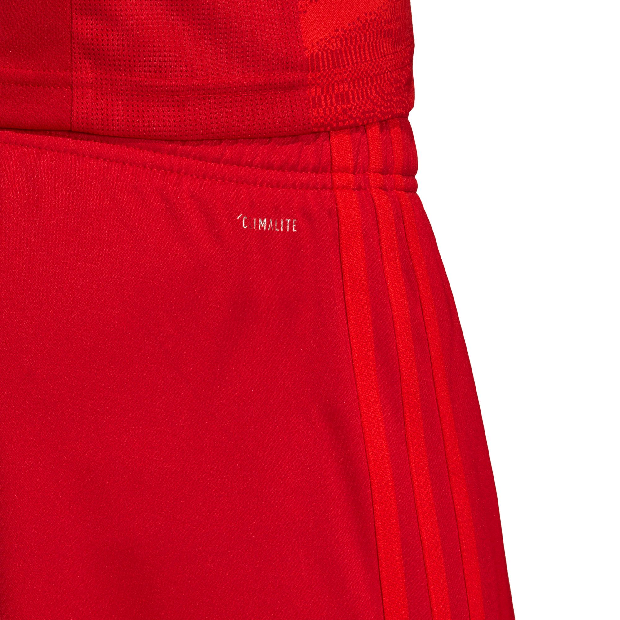 Pantalón 1ª Bayern Munich 2019/2020 Rojo - Fútbol Factory
