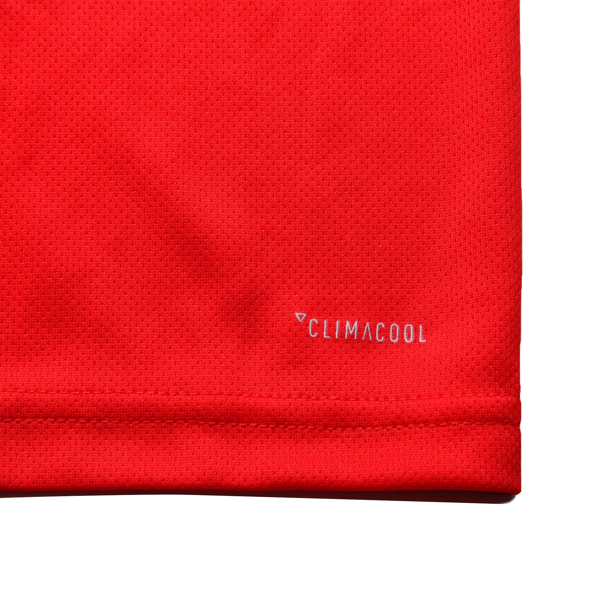 Camiseta de Training Arsenal FC 2019/2020 Rojo - Fútbol Factory