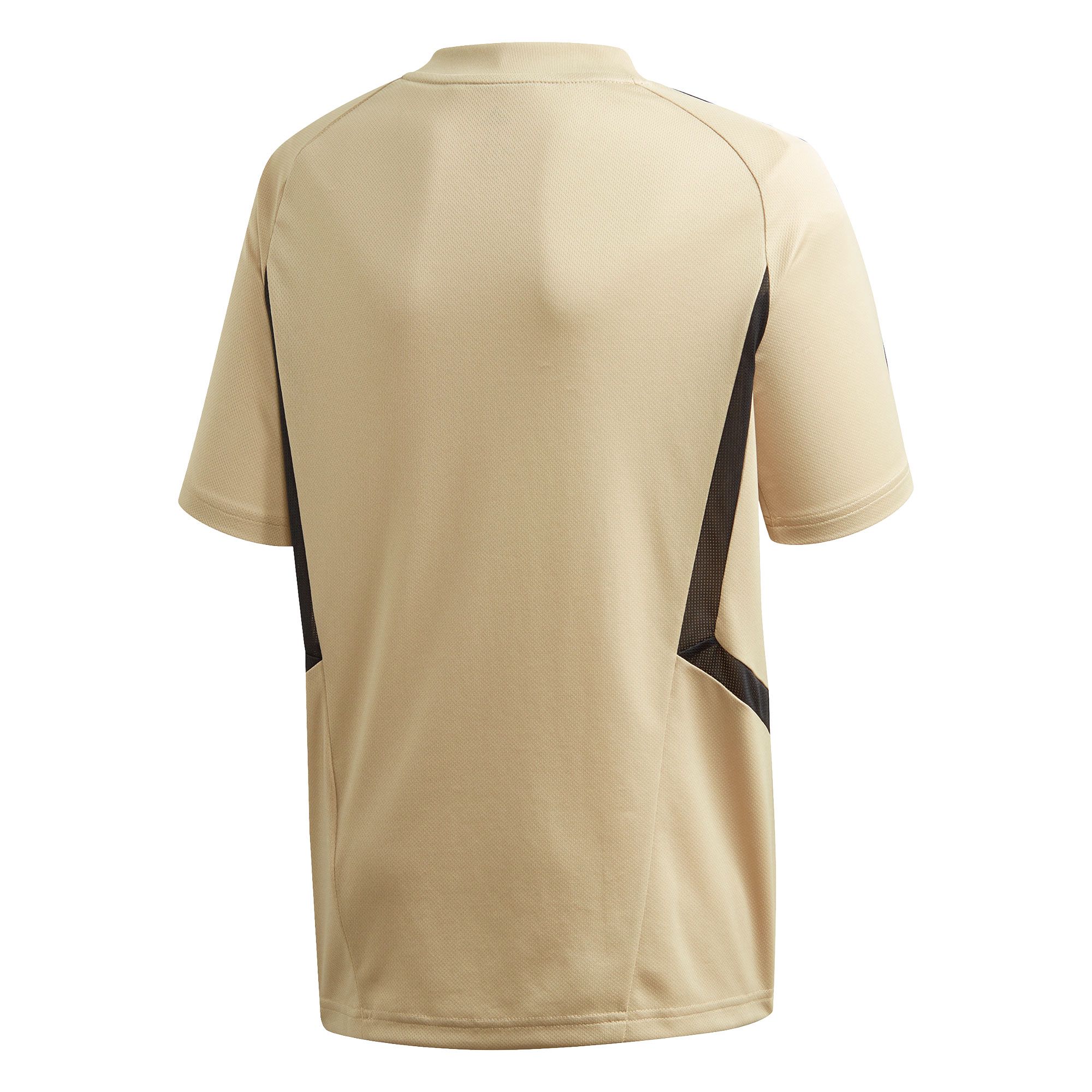 Camiseta de Training Real Madrid 2019/2020 Junior Oro - Fútbol Factory