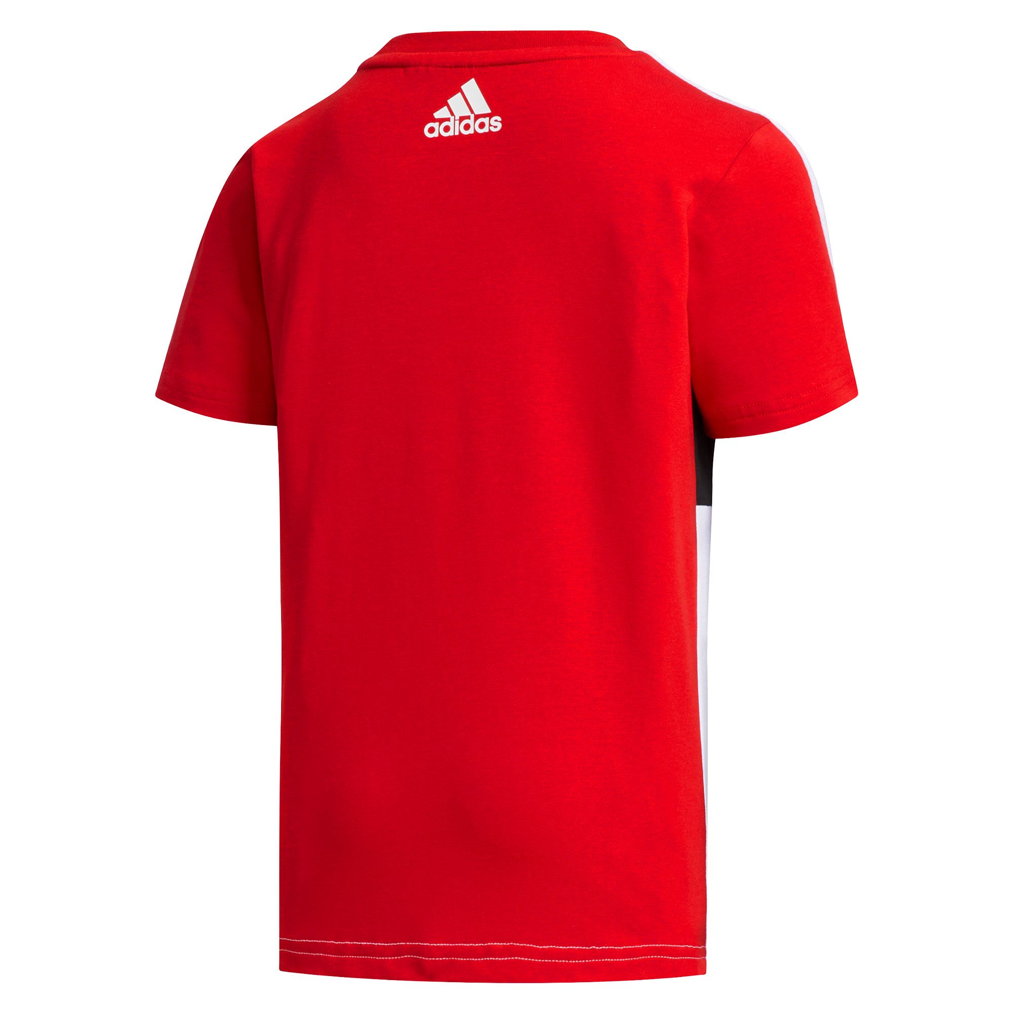 Conjunto de Paseo Graphic Junior Rojo - Fútbol Factory
