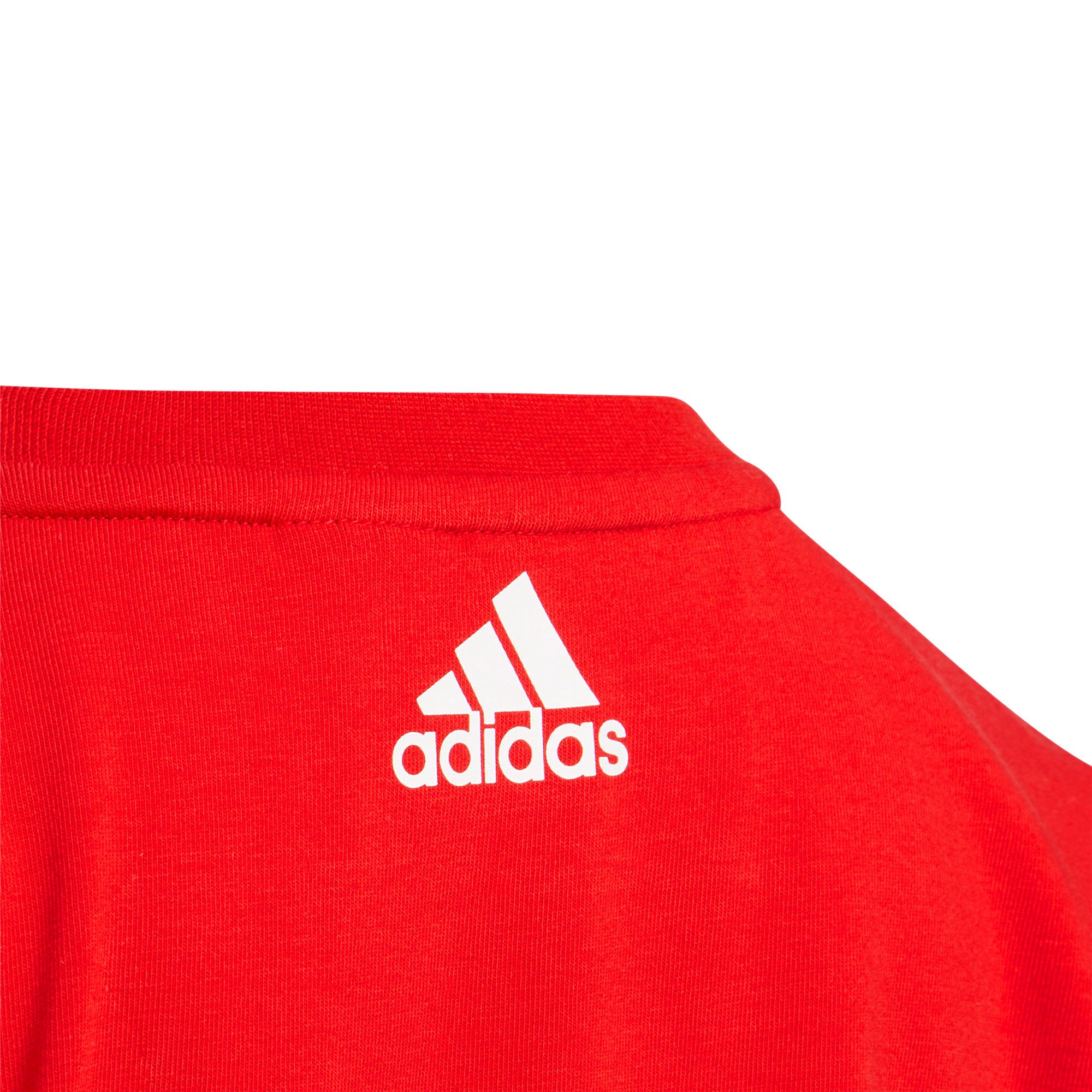 Conjunto de Paseo Graphic Junior Rojo - Fútbol Factory