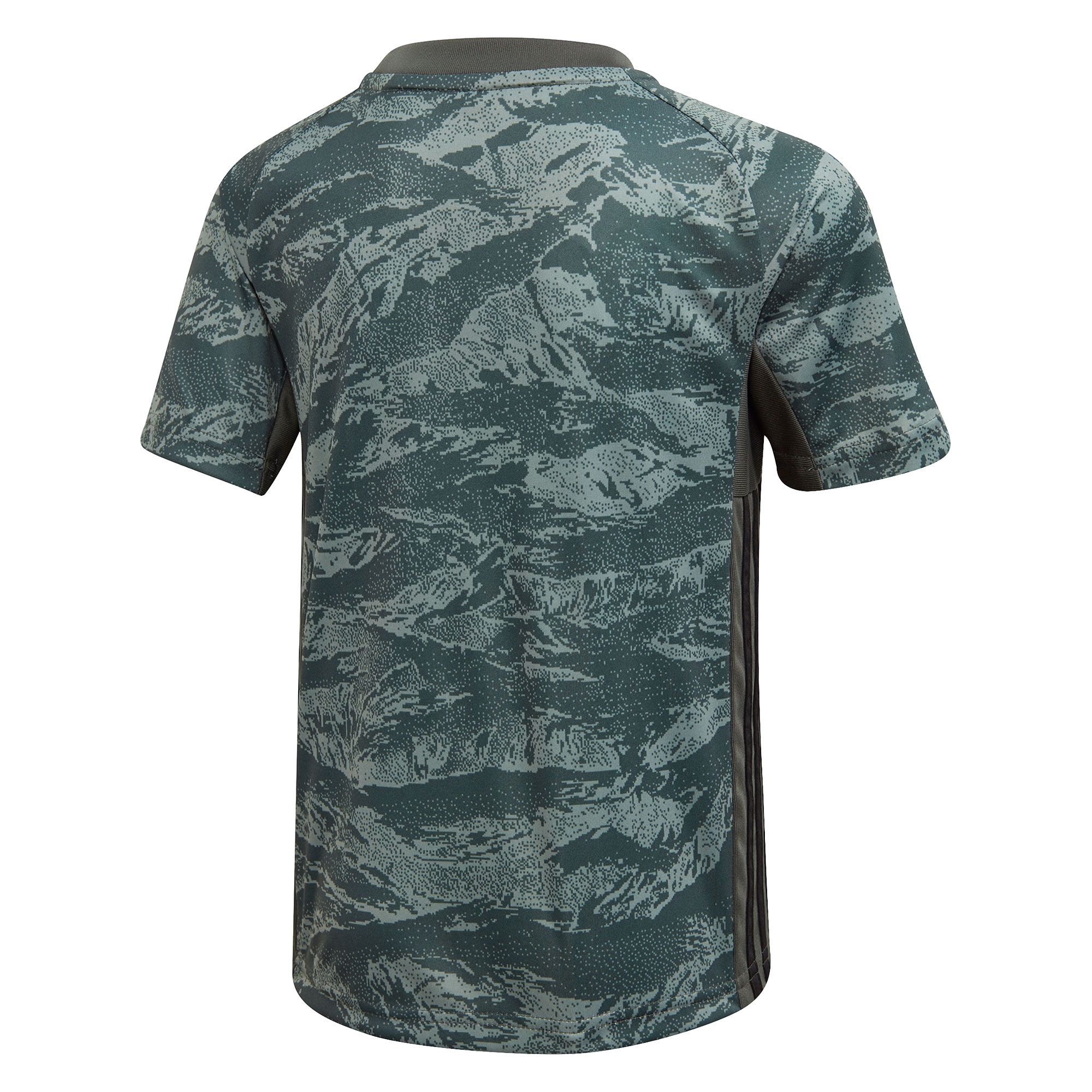 Conjunto 2ª Real Madrid Portero 2019/2020 Junior Verde - Fútbol Factory