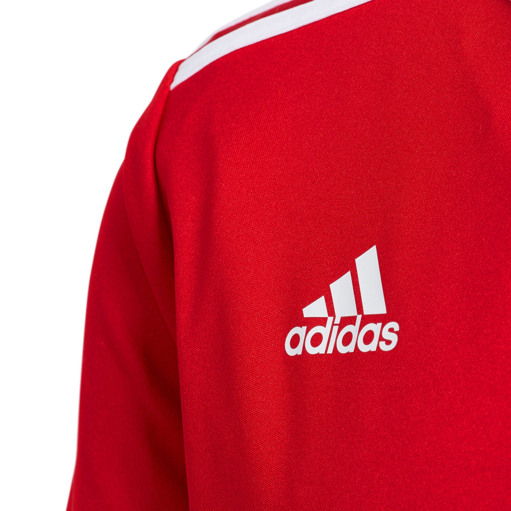 Camiseta adidas Entrada 18 - Fútbol Factory