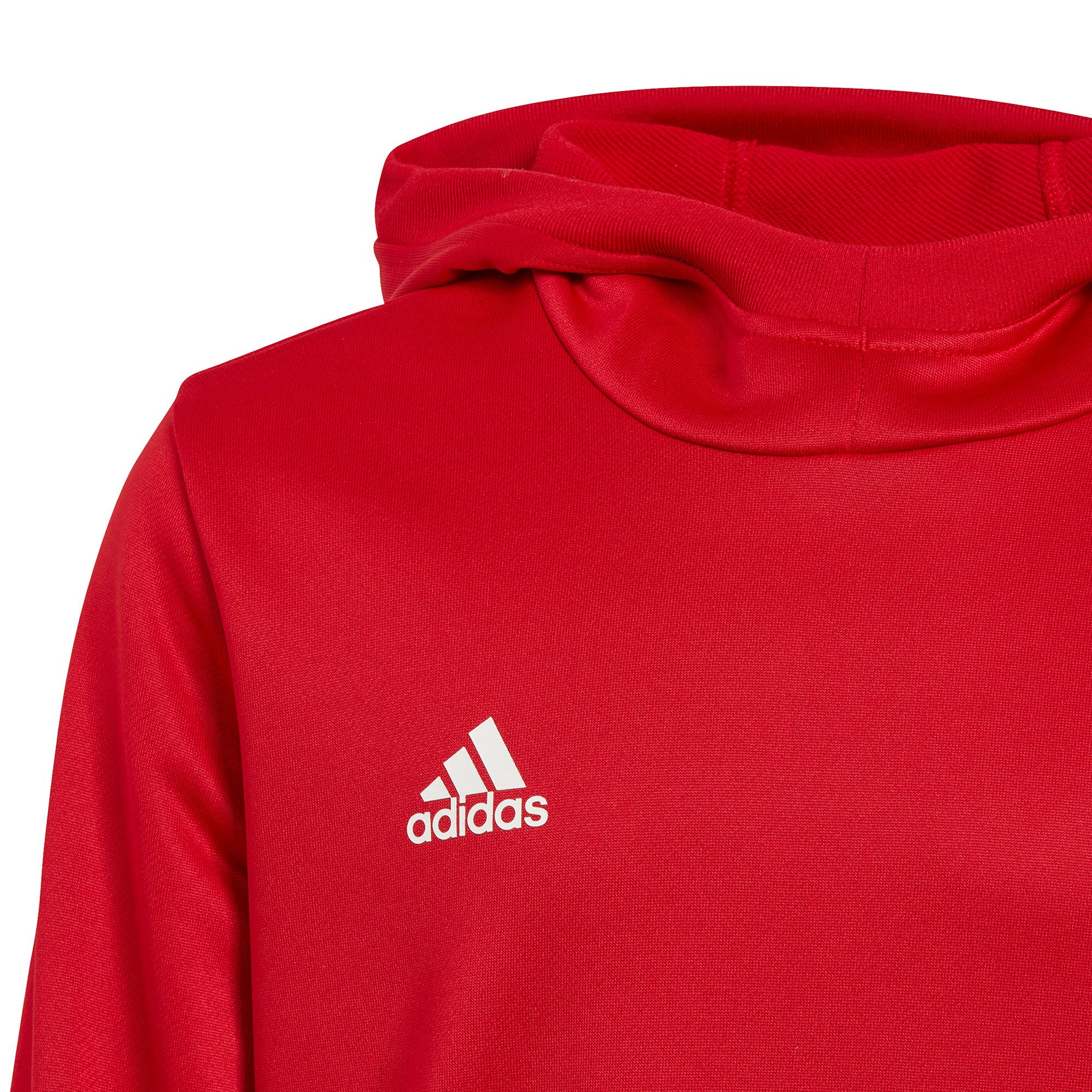 Sudadera de Training Team 19 HD Junior Rojo - Fútbol Factory