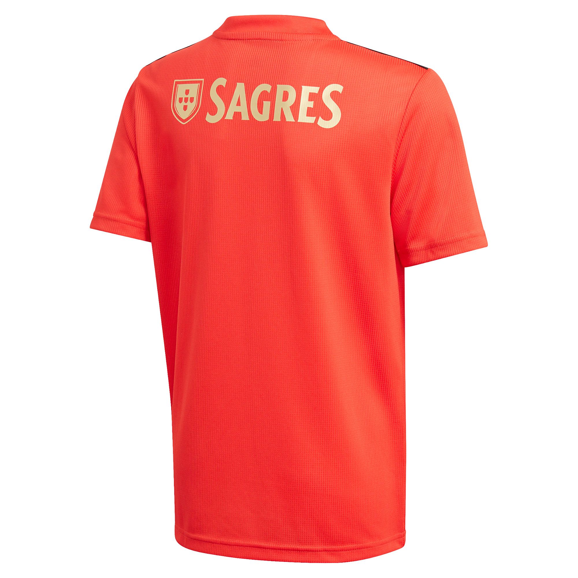 Camiseta 1ª Benfica 2020/2021 Junior Rojo - Fútbol Factory