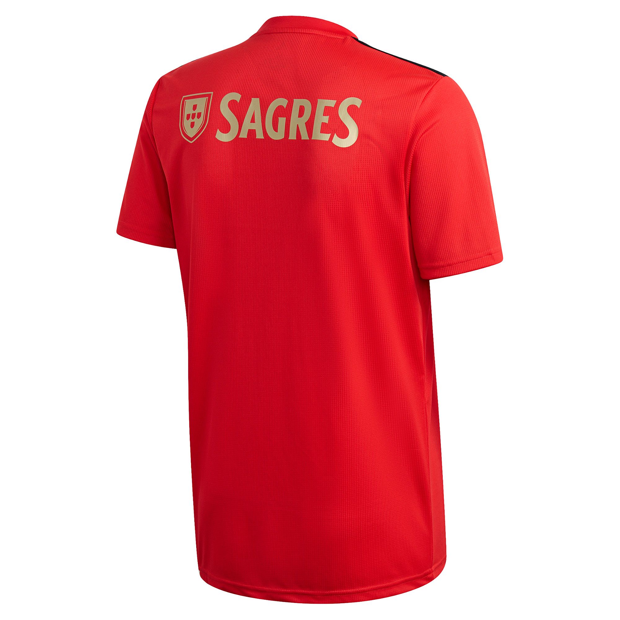 Camiseta 1ª Benfica 2020/2021 Rojo - Fútbol Factory