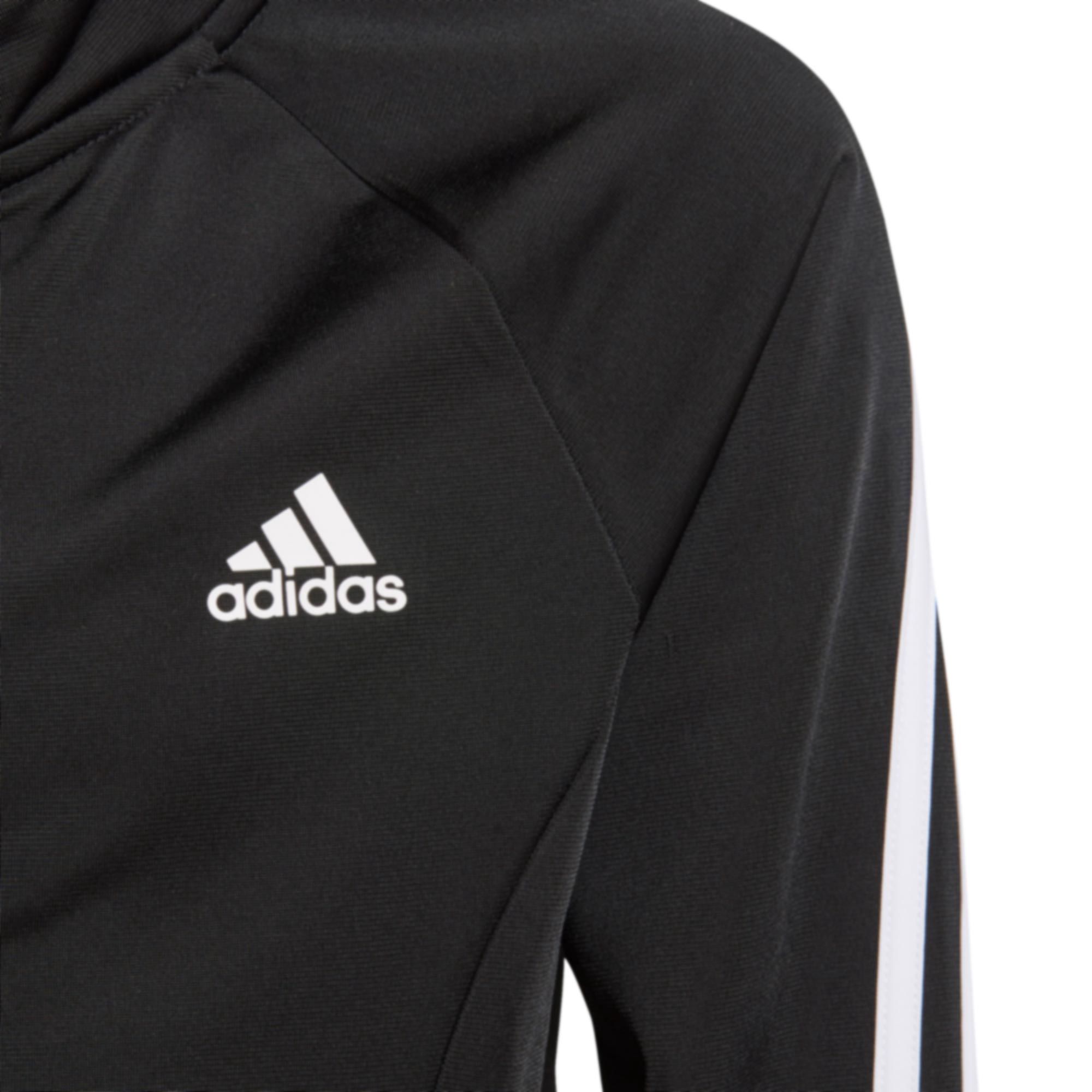 Chándal de Training adidas Team Primegreen Niño Negro - Fútbol Factory