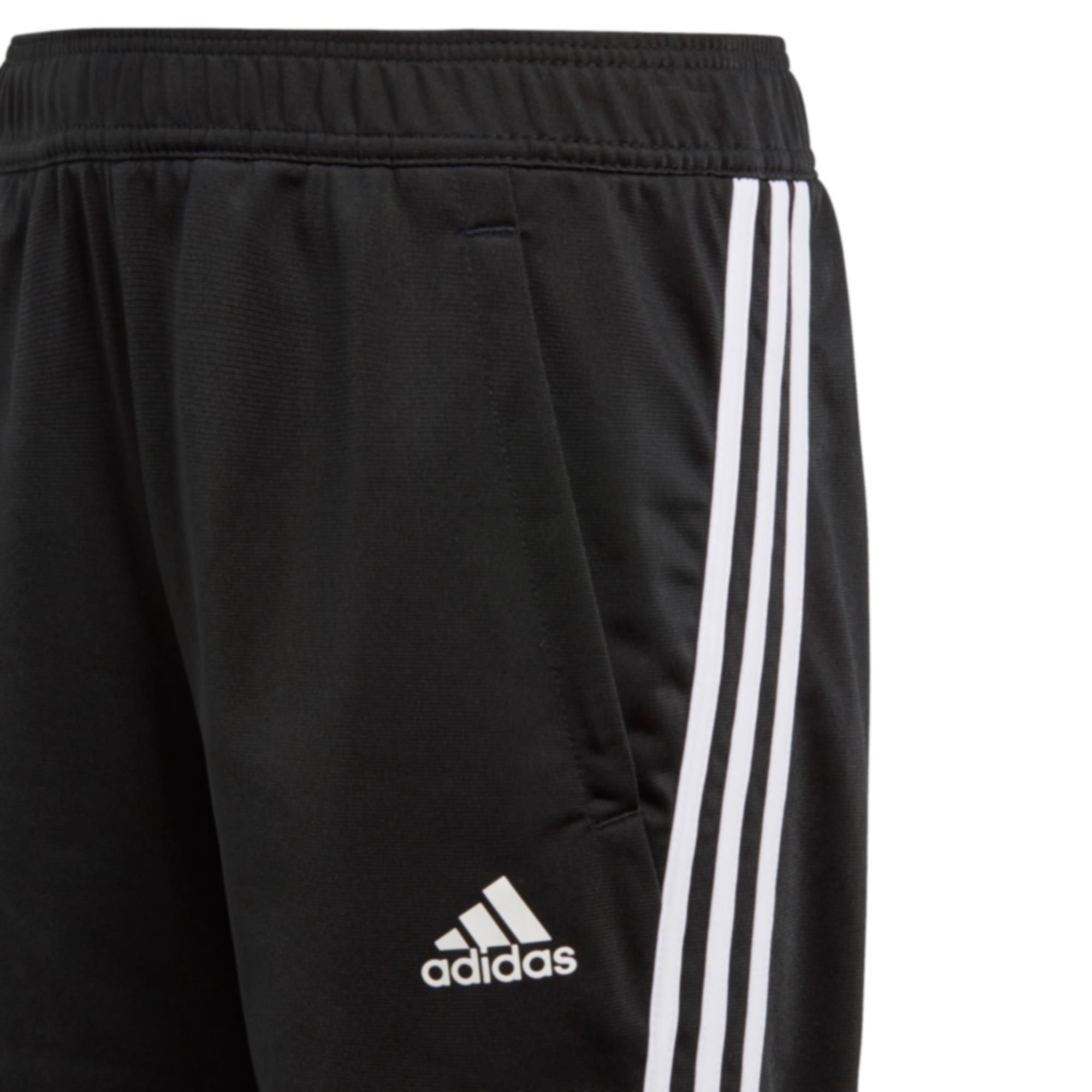 Chándal de Training adidas Team Primegreen Niño Negro - Fútbol Factory