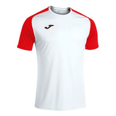 Camiseta Joma Academy IV