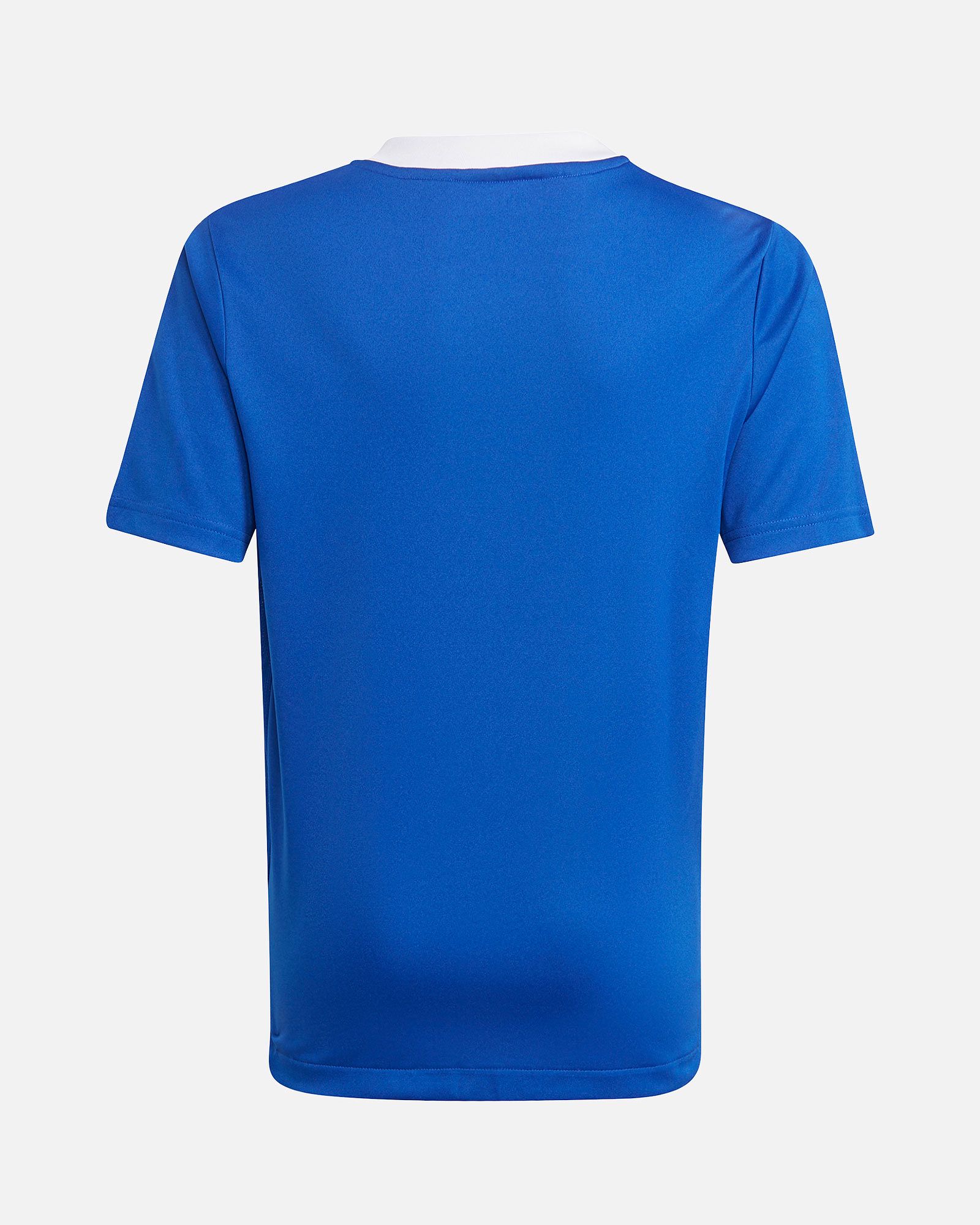Camiseta adidas Tiro 21 - Fútbol Factory