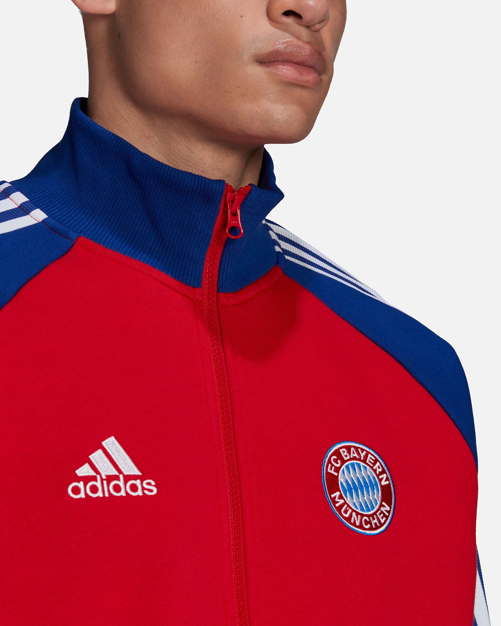 Chaqueta Bayern FC 2021/2022 Himno - Fútbol Factory
