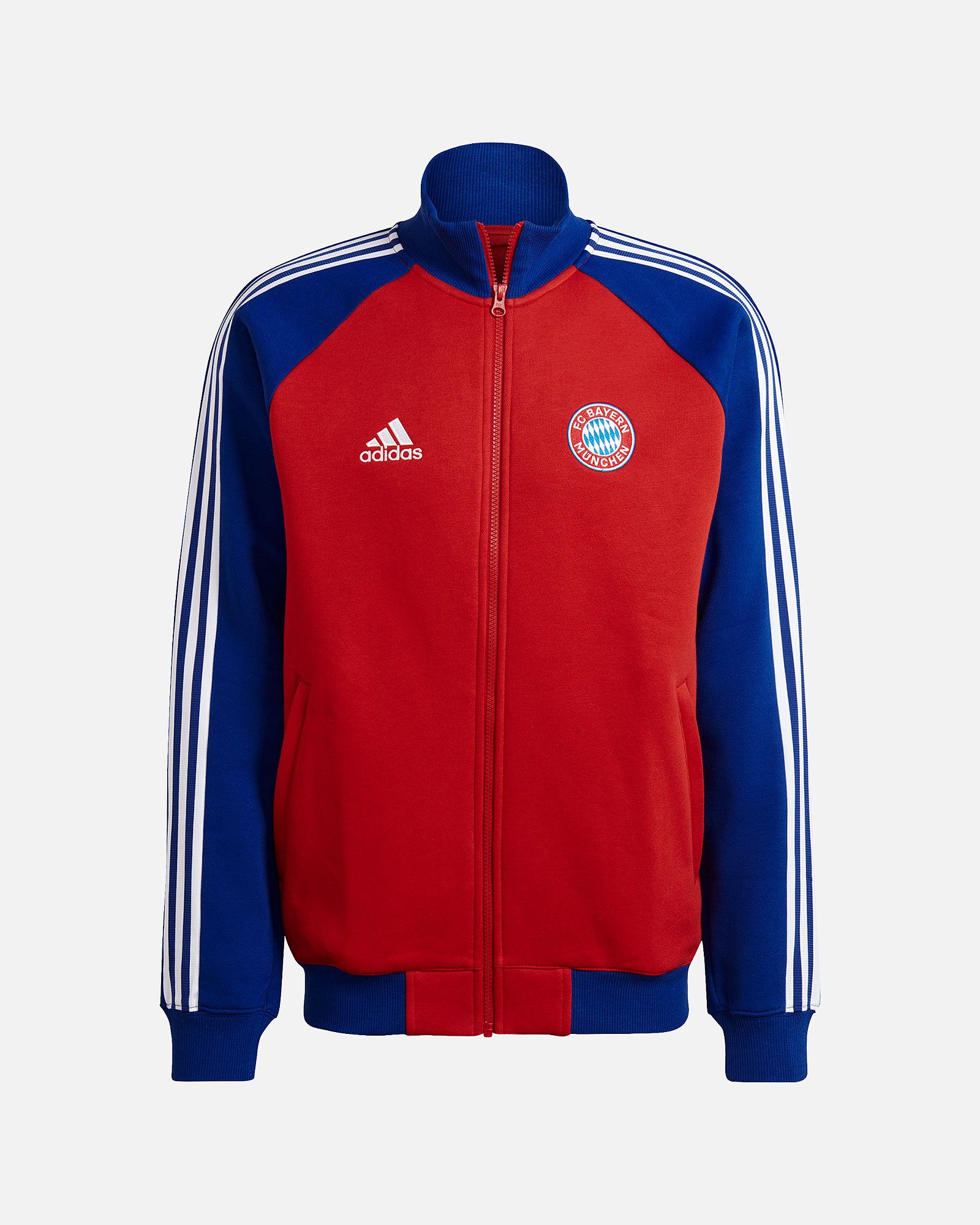 Chaqueta Bayern FC 2021/2022 Himno - Fútbol Factory