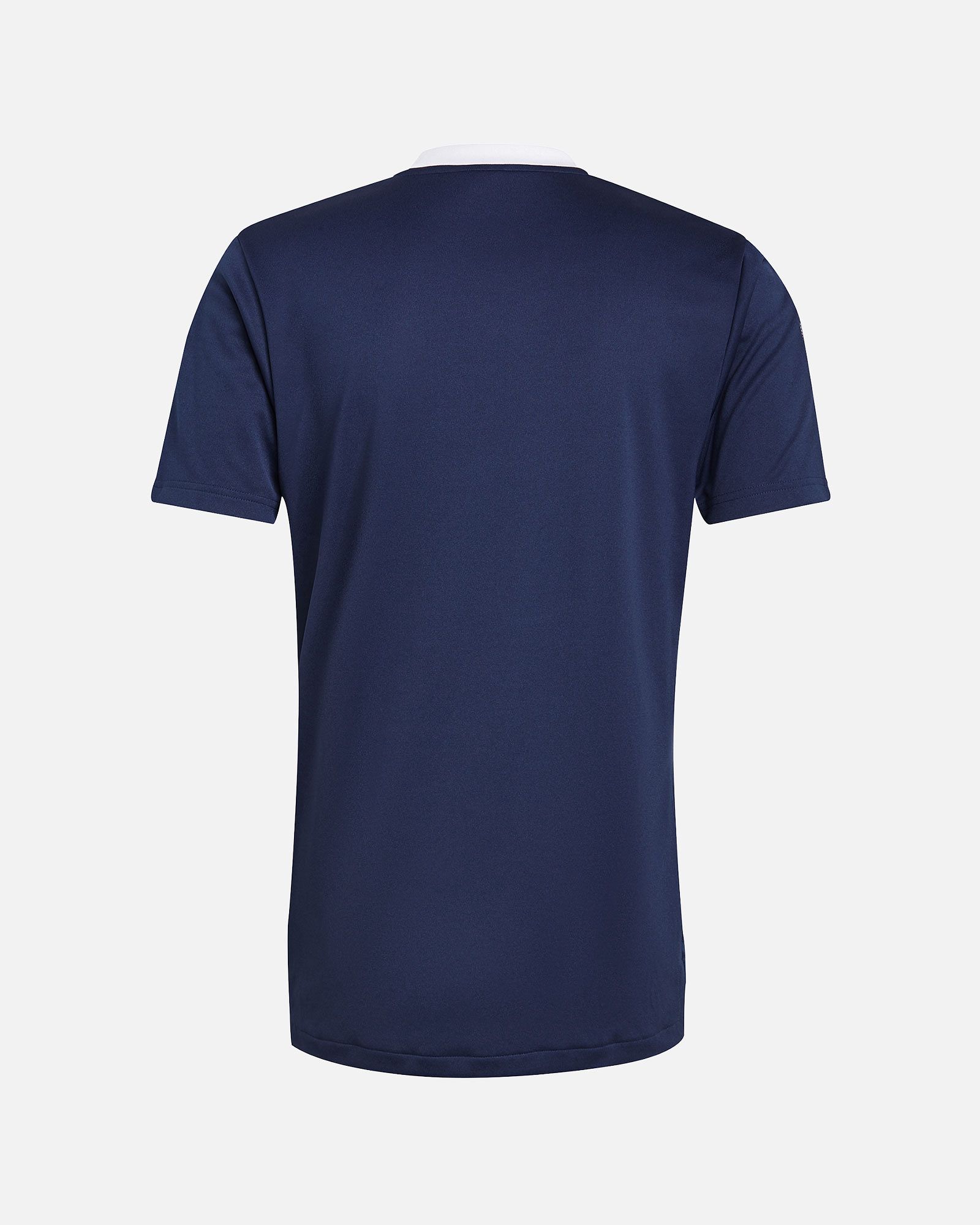 Camiseta adidas Tiro 21 TR - Fútbol Factory