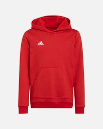 Sudadera adidas Entrada 22 HD