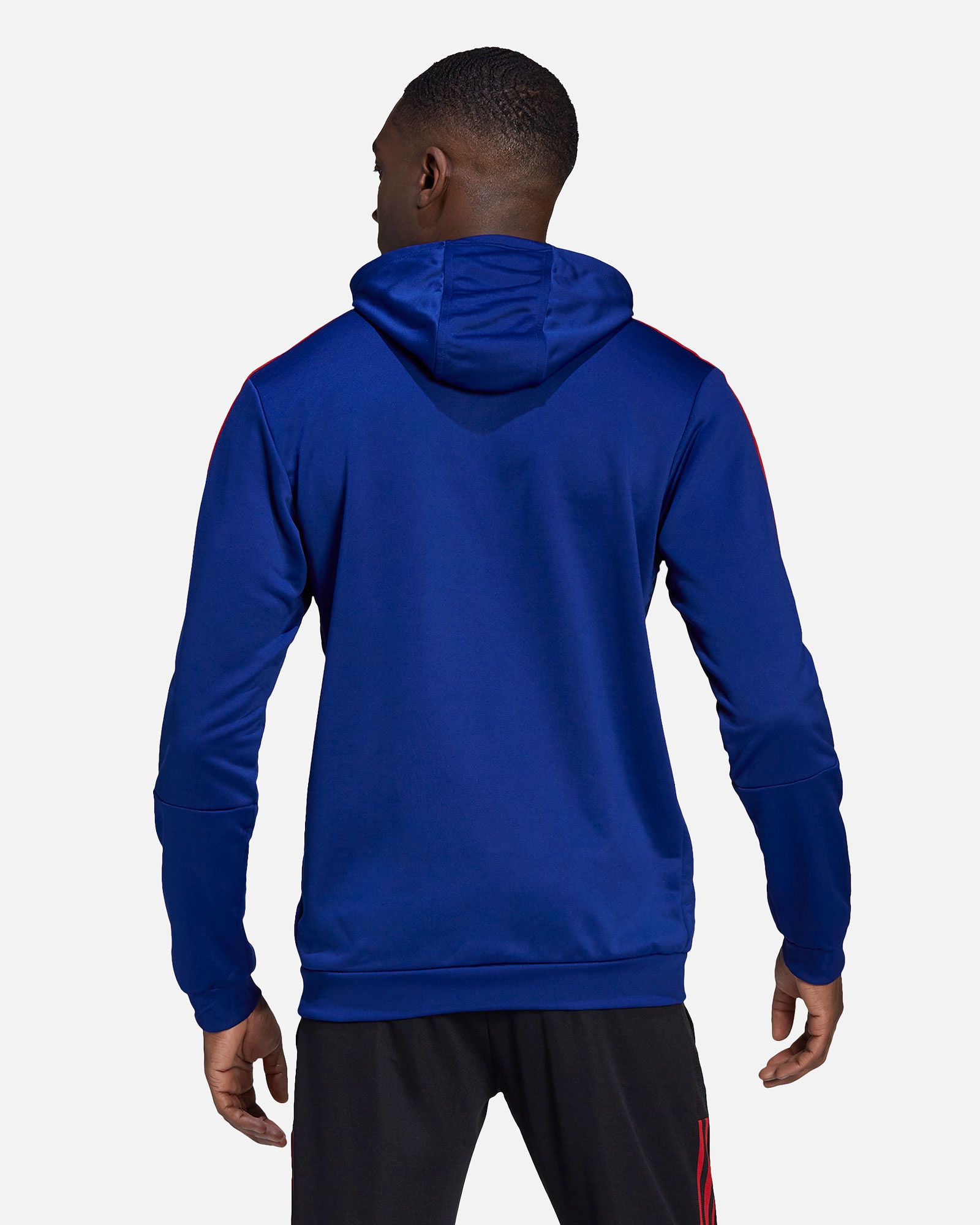 Sudadera FC Bayern 2021/2022 HD - Fútbol Factory