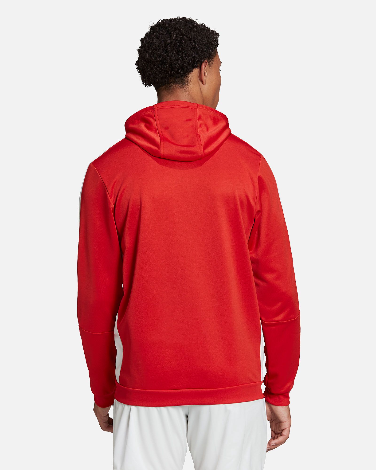 Sudadera Ajax 2021/2022 TK HD - Fútbol Factory