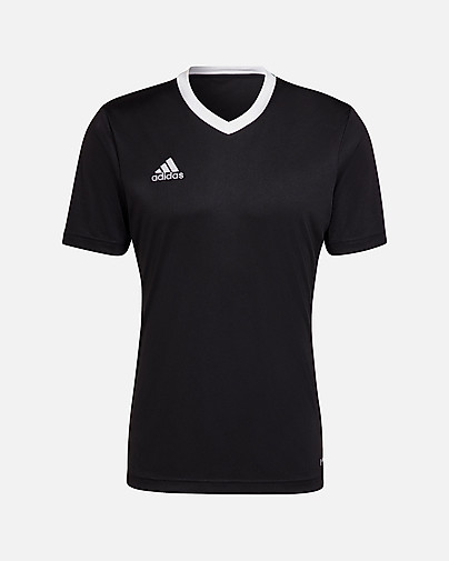 Camiseta adidas Entrada 22