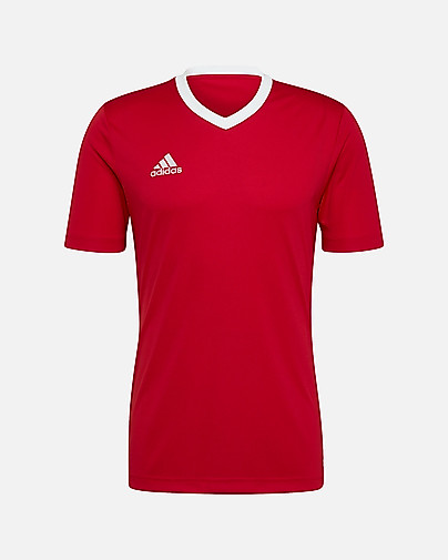 Camiseta adidas Entrada 22