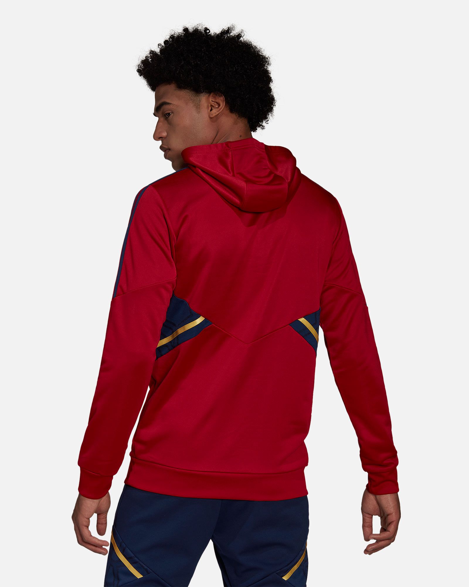 Sudadera Ajax 2022/2023 HD - Fútbol Factory