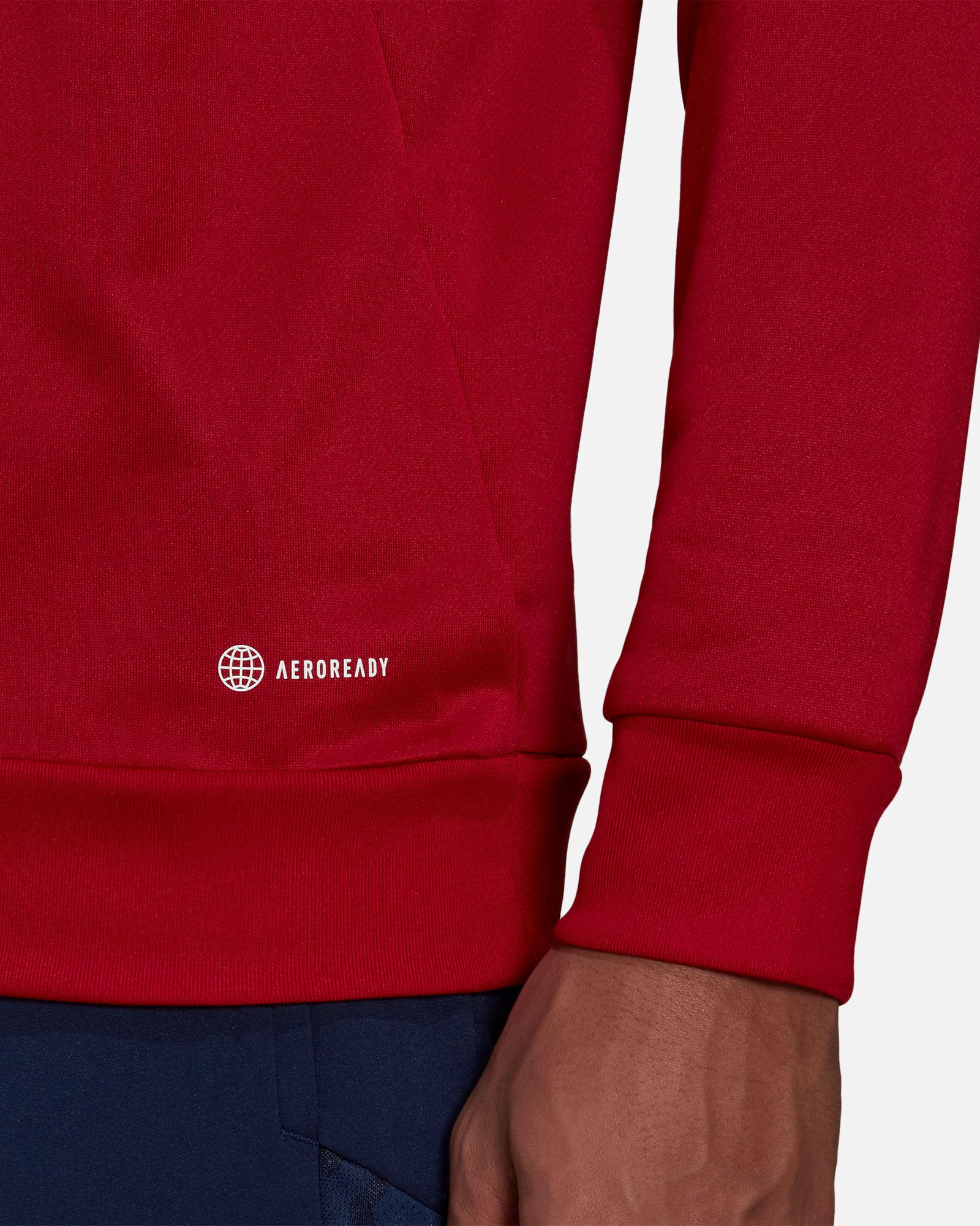 Sudadera Ajax 2022/2023 HD - Fútbol Factory