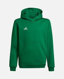 Sudadera adidas Entrada 22 Hoody