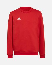 Sudadera adidas Entrada 22