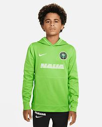 Sudadera Nigeria 2022/2023 Travel HD