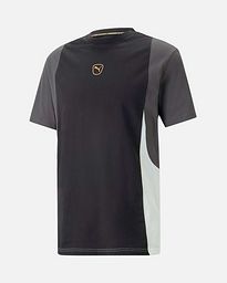 Camiseta Puma King Top 