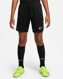 Pantalón Nike Dri-FIT Academy Pro