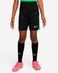 Pantalón Nike Dri-FIT Academy Pro