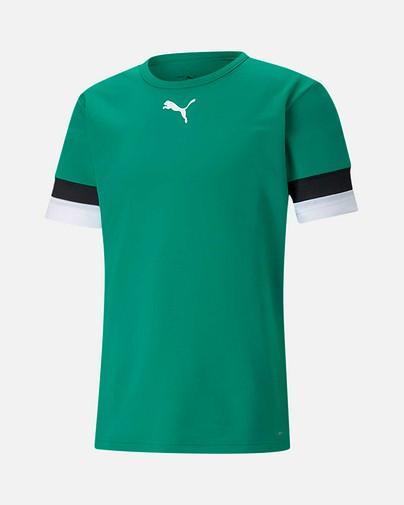 Camiseta Puma Team Rise