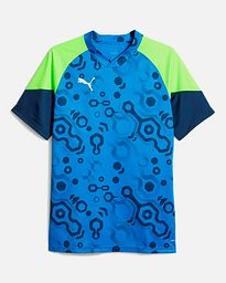 Camiseta Puma Individual Cup 