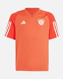 Camiseta FC Bayern 2023/2024 TR