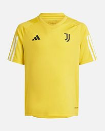 Camiseta Juventus FC 2023/2024 TR