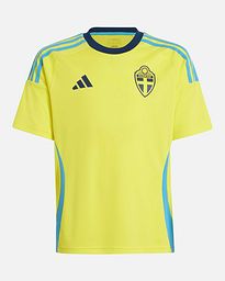 Camiseta 1ª Suecia EURO 2024